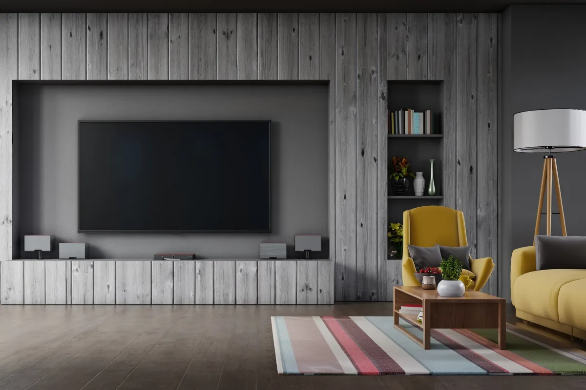 Economical TVs for everyone all year round